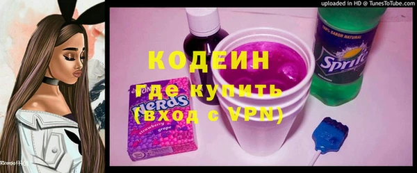 шишки Аркадак