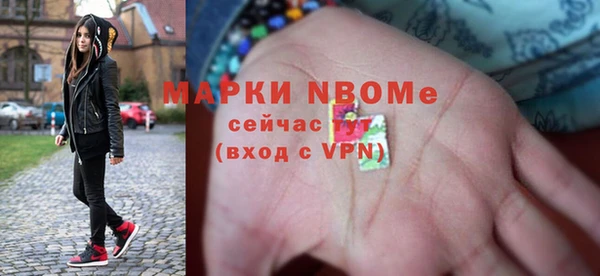 шишки Аркадак