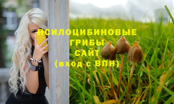 шишки Аркадак