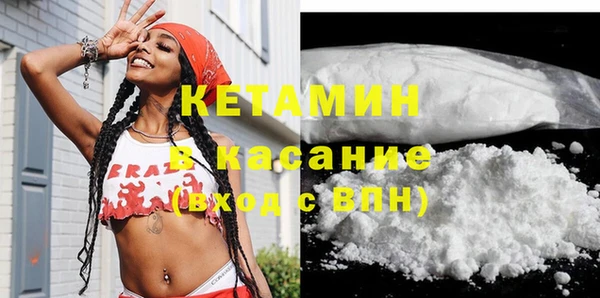 шишки Аркадак