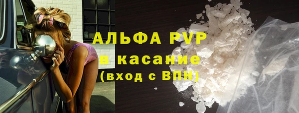 шишки Аркадак
