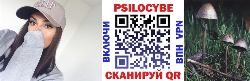 Купить закладки  Беломорск  Псилоцибиновые грибы мицелий 