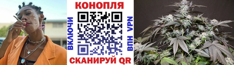 Купить  Беломорск  Марихуана марихуана 